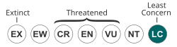 Status_iucn3.1_LC.svg.webp